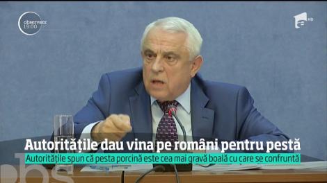 Criza pestei porcine a reunit autorităţile într-un comandament de urgenţă