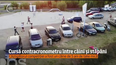 Cursă contracronometru între câini și stăpâni, organizată pe o insulă croată aflată în Marea Adriatică