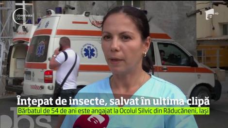 &Icirc;nțepat de insecte, salvat &icirc;n ultima clipă