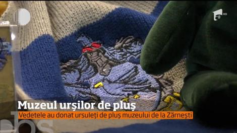 Muzeul urșilor de pluș se află la Zărnești, județul Brașov