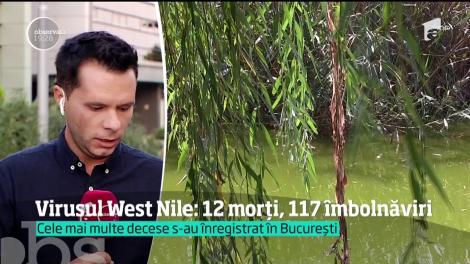 Virusul West Nile face ravagii în România. Numărul deceselor a ajuns la 12