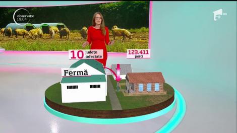 Ţăranii români sunt pe culmile disperării. De teama pestei, îşi taie animalele sănătoase din gospodării