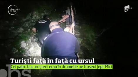 Patru bucureșteni, &icirc;nt&acirc;lnire cu un urs &icirc;n județul Prahova