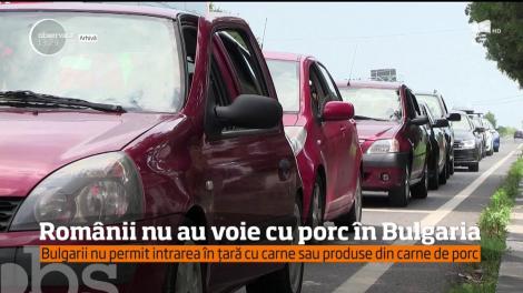 Punctele de trecere a frontierei &icirc;n Bulgaria au sporit controalele pentru a &icirc;mpiedica răsp&acirc;ndirea pestei porcine