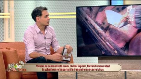 Pesta porcină, o conspirație a Occidentului ca să reducă numărul de capete?! Adevărul despre virusul care face ravagii în România: ”Se știa de un an de zile, nu au fost luate măsuri!”