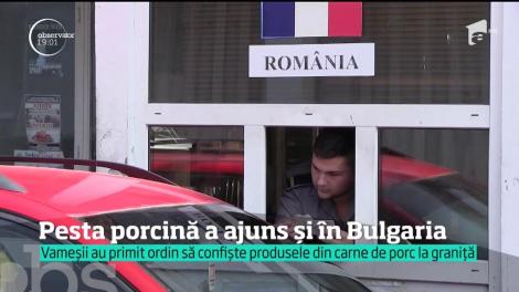 Inevitabilul s-a produs, pesta porcină a ajuns în Bulgaria. Întreaga ţară se întreabă dacă românii au dus virusul la vecini