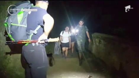Oamenii s-au speriat şi au cerut ajutorul jandarmilor montani, pentru a putea reveni la cabană. Pe drum, salvatorii s-au întâlnit însă şi ei cu animalul