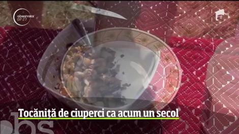 Tocăniță de ciuperci ca acum un secol
