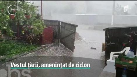 Vremea s-a schimbat radical în vestul ţării. Un ciclon a adus în România ploi torenţiale şi vijelii