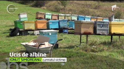 Pasiunea i-a fost fatală! Un bărbat de 31 de ani din Alba a murit după ce a fost muşcat de albine, în timp ce le hrănea