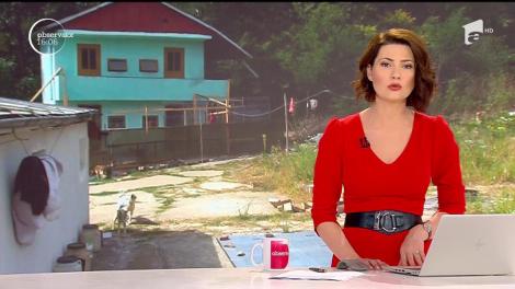 O haită de câini terorizează un sat întreg, în Vaslui