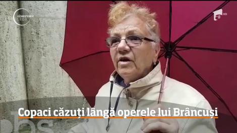 A fost furtună puternică în Târgu Jiu!