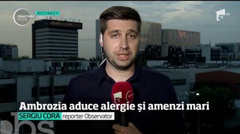 Legea privind combaterea ambroziei are norme de aplicare