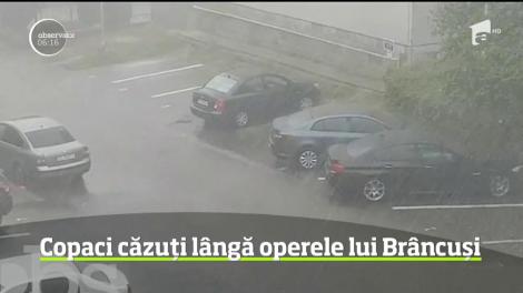 A fost furtună puternică în Târgu Jiu! În aproximativ o oră, mai multe străzi au fost inundate, iar rafalele de vânt au pus la pământ mai mulți copaci