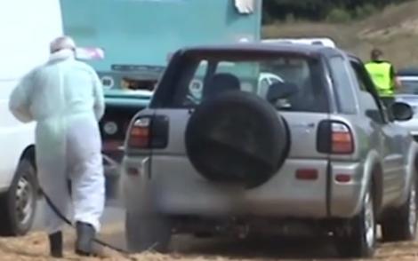 Preşedintele României acuză autorităţile de incompetenţă în ce priveşte răspândirea virusului pestei porcine