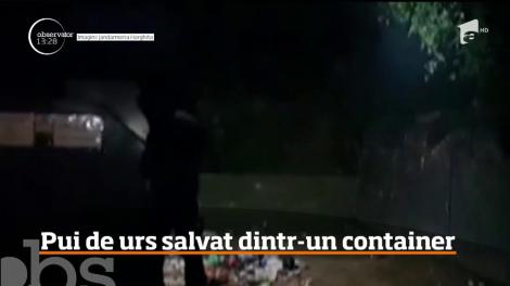 Misiune mai puţin obişnuită pentru jandarmii din Harghita