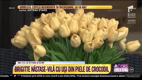 Brigitte Năstase şi-a deschis larg porţile vilei în care s-a mutat de curând. Ușile casei sunt din piele de crocodil