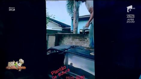 Smiley News! Un brazilian taie mașina în două cu toporul