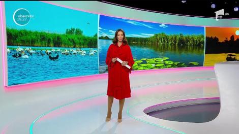 Cel mai sălbatic loc din România poate fi descoperit şi într-o singură zi. În inima Deltei Dunării, sezonul se încheie abia la începutul lunii noiembrie