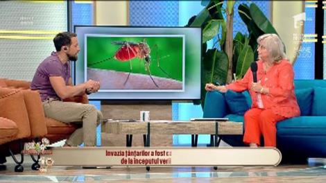 Cât de periculoase sunt înțepăturile țânțarilor: ”Există mai multe specii de țânțari care pot transmite diferite boli, printre care și West Nile”