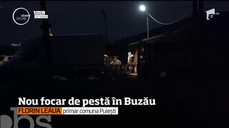 Un nou focar de pestă porcină a fost confirmat în judeţul Buzău