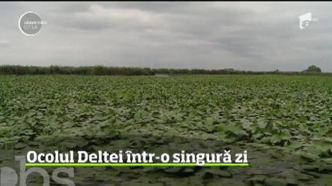 Cel mai sălbatic loc al Deltei Dunării, poate fi vizitat &icirc;ntr-o singură zi