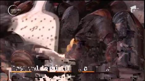 Festivalul de gusturi dobrogene în Piața Ovidiu din Constanța