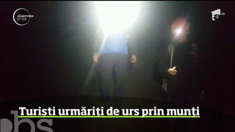 Turiști urmăriți de urs prin munți, recuperați &icirc;n siguranță