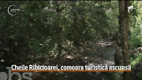 Cheile Ribicioarei, comoara turistică ascunsă &icirc;n Rom&acirc;nia