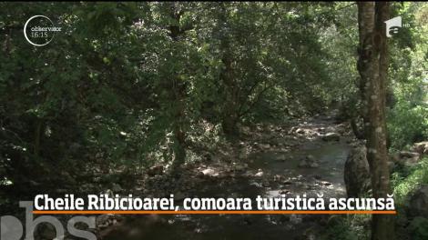 Cheile Ribicioarei, comoara turistică ascunsă în România