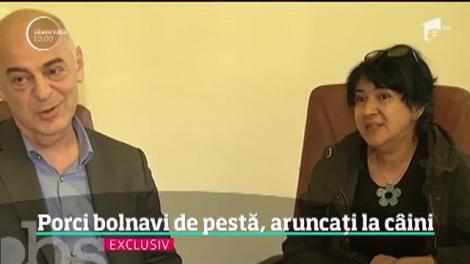 Călăraşi, raiul fermelor ilegale de porci