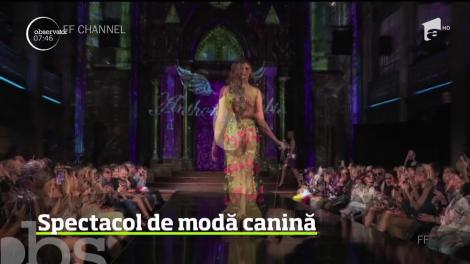Câinii au fost şi ei în centrul atenţiei la Săptămâna Modei de la New York
