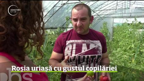 Românii au prins gustul preparatelor bio, iar restaurantele s-au adaptat şi ele