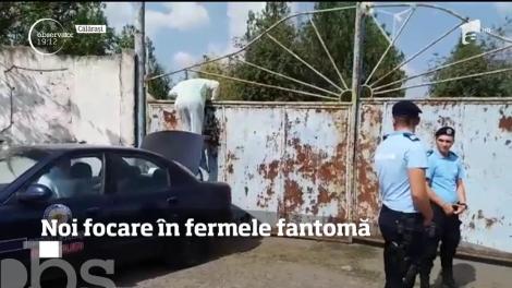 Autorităţile au închis ferma clandestină din Călăraşi cu jandarmii