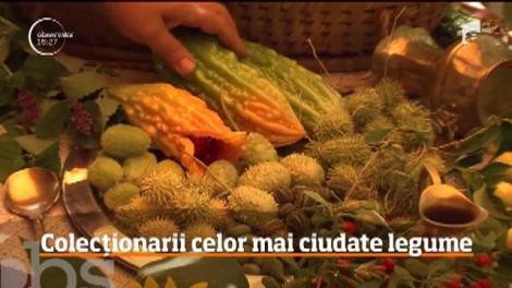 Doi soţi din judeţul Satu Mare au reuşit să obţină o recoltă minunată de legume exotice