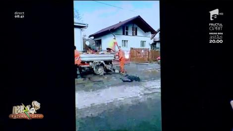 Comedia românească nu se termină niciodată! Cum se repară o groapă în Bistrița (VIDEO)