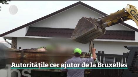 Europa a venit să vadă ce se întâmplă în capitala pestei porcine! Oficialul de la Bruxelles a vizitat o fermă din Ialomiţa