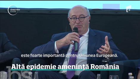 Pesta porcină a învins până şi SRI. Serviciul a făcut peste 130 de informări despre boala care ameninţa România