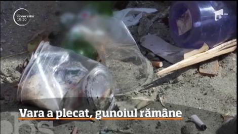 Mii de tone de deșeuri, adunate de pe litoralul românesc