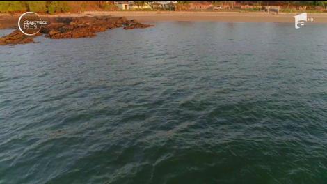 Provocările din "Ultimul Trib"