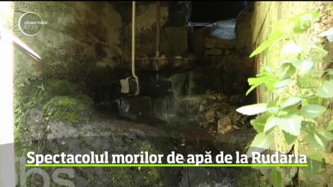 Într-o localitate din Banat, timpul merge parcă înapoi. Aici este tărâmul morilor de apă, vechi de câteva secole