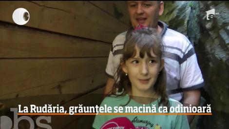 Tărâmul morilor de apă din judeţul Caraş Severin