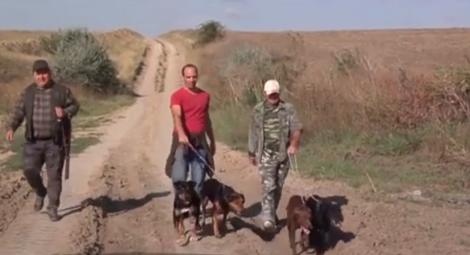 Autoritățile au luat o decizie DRASTICĂ pentru a opri pesta porcină. Numărul uriaș de mistreți care vor fi sacrificați