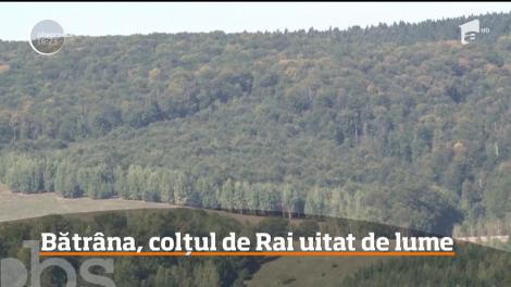 "Codrii Seculari Bătrâna", o rezervaţie naturală de interes naţional