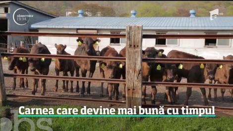 În plină criză a pestei porcine, porcul pierde teren în faţa vitei, în farfuriile românilor!