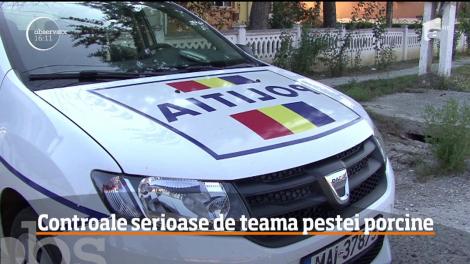 Epidemia de pestă porcină continuă să se extindă!