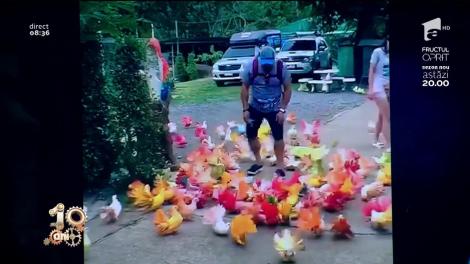 Smiley News! Parc invadat de porumbei roșii, portocalii, verzi și galbeni. Oare ce au mâncat?