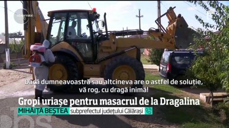 Masacrul de la Dragalina a revoltat mii de localnici! 21 de mii de porci vor fi sacrificaţi şi îngropaţi. Localnicii se tem de contaminarea apei