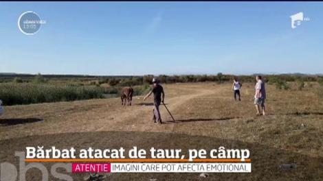 Scene de GROAZĂ pe un câmp de lângă Târgovişte! Un bărbat a fost atacat de un taur. Imagini cu un puternic impact emoţional!