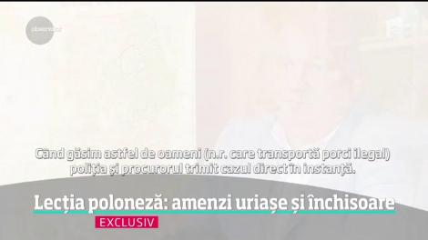 Avertismentul specialiştilor polonezi &icirc;n privinţa răsp&acirc;ndirii pestei porcine